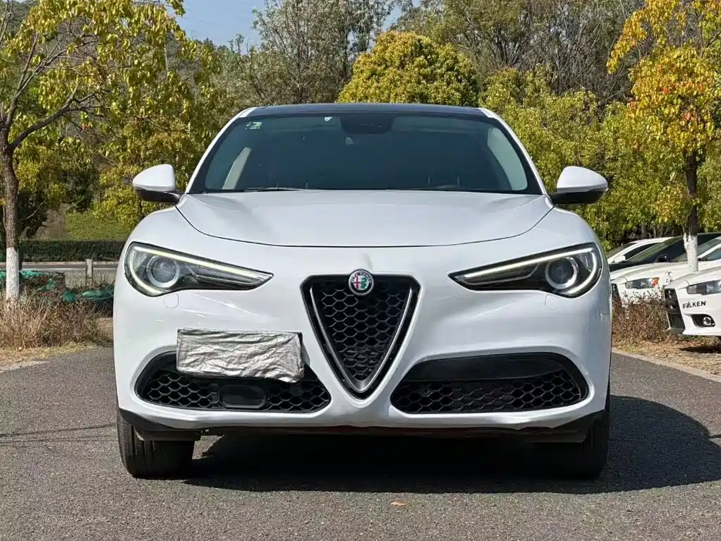 Alfa Romeo Stelvio 2018 — фото 2