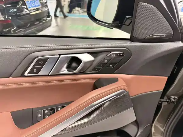 BMW X6 2021