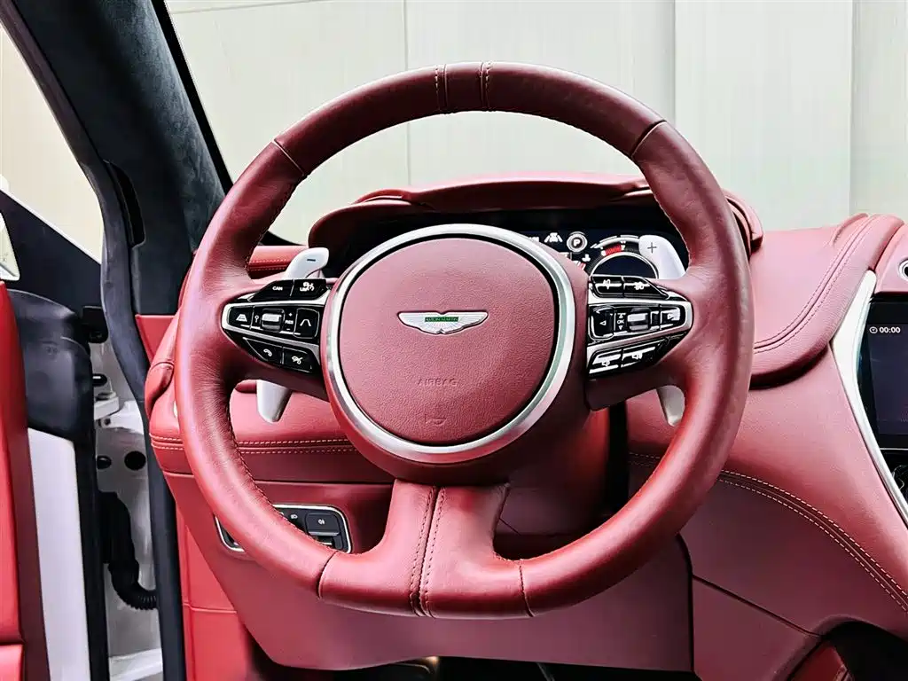 Aston Martin DBX 2021 — фото 10