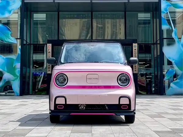Geely Galaxy Panda 2025
