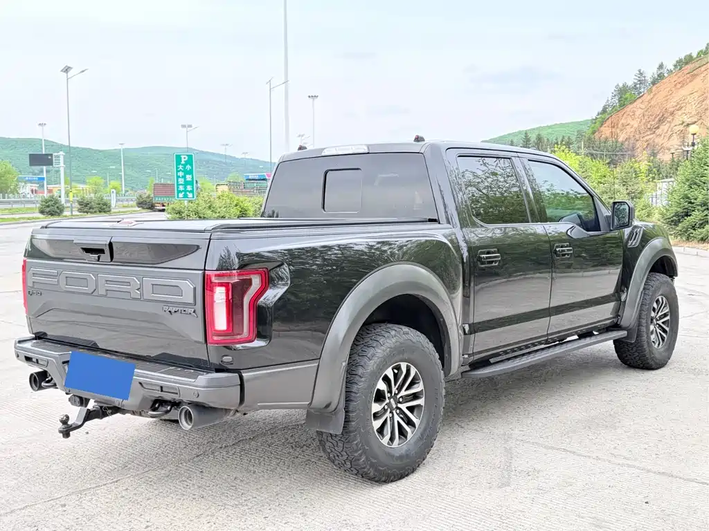 Ford F-150 Raptor 2020 — фото 18