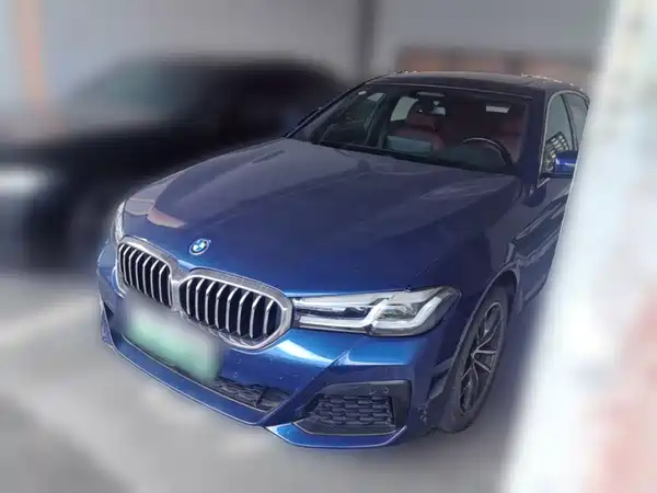 BMW 5 Series New Energy 2022