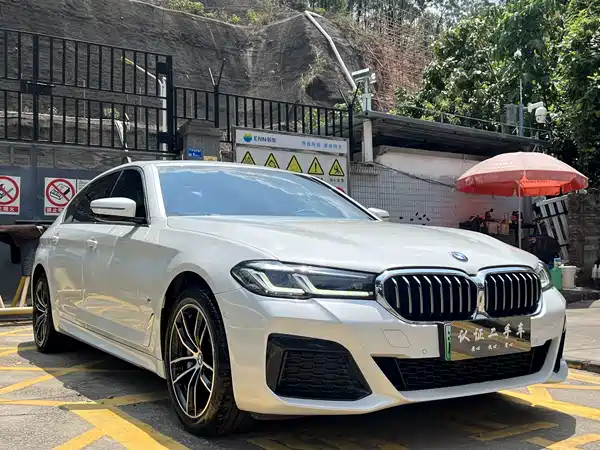 BMW 5 Series New Energy 2021