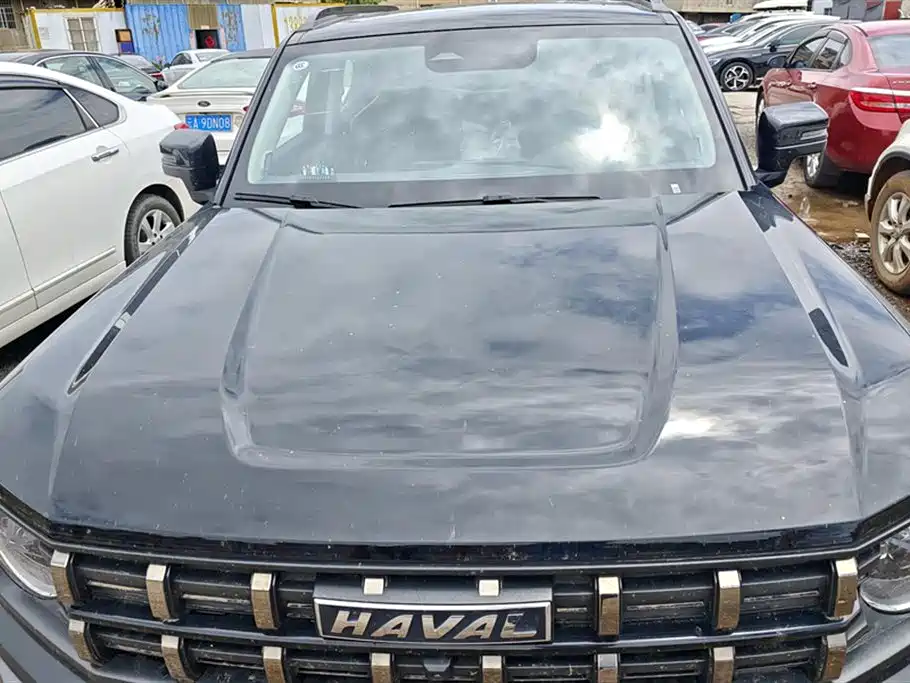 Haval Cool Dog 2023 — фото 10