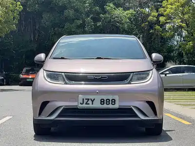 BYD Dolphin 2022