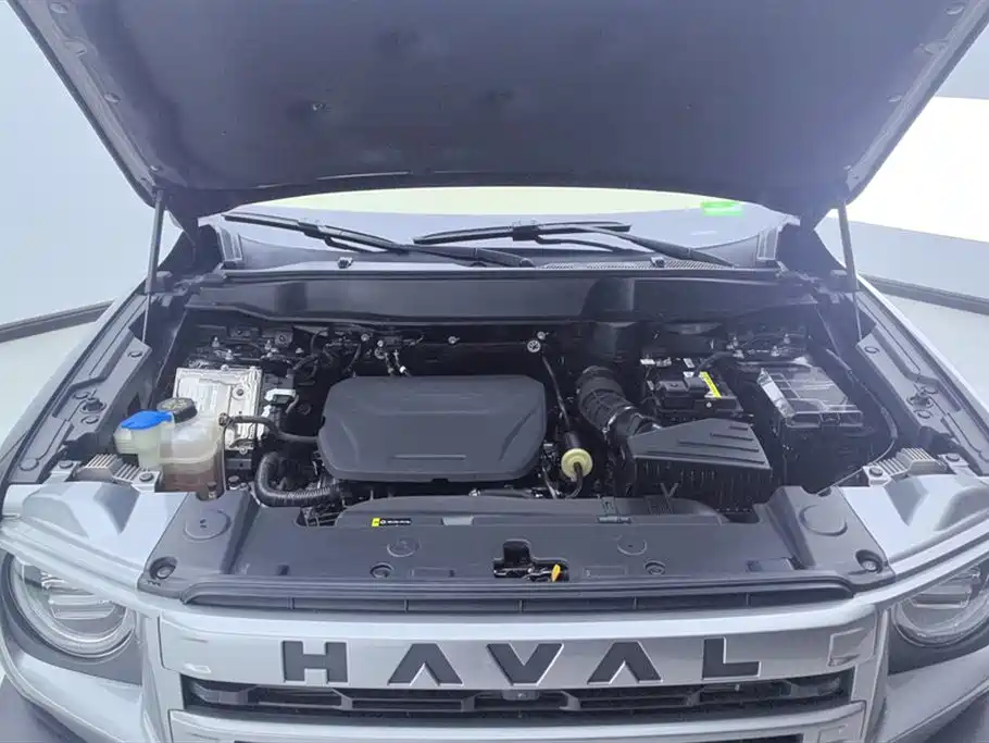 Haval Big Dog 2024 — фото 10