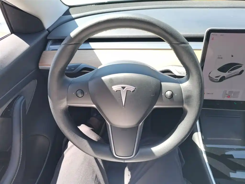 Tesla Model 3 2020 — фото 11