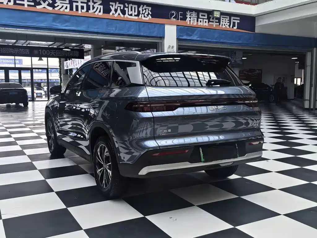 BYD Pro New Energy 2025 — фото 5