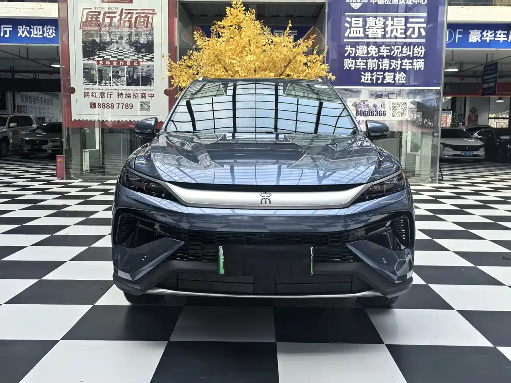 BYD Pro New Energy 2025 — фото 2