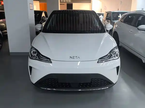 Neta AYA 2024