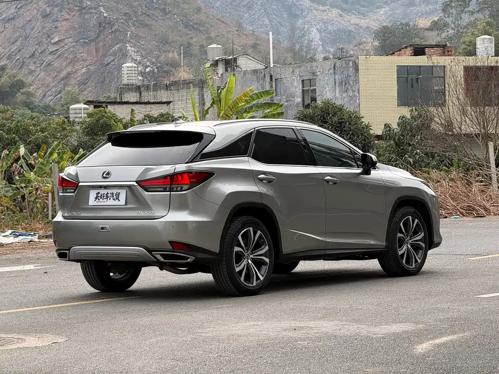Lexus RX 2021 — фото 11