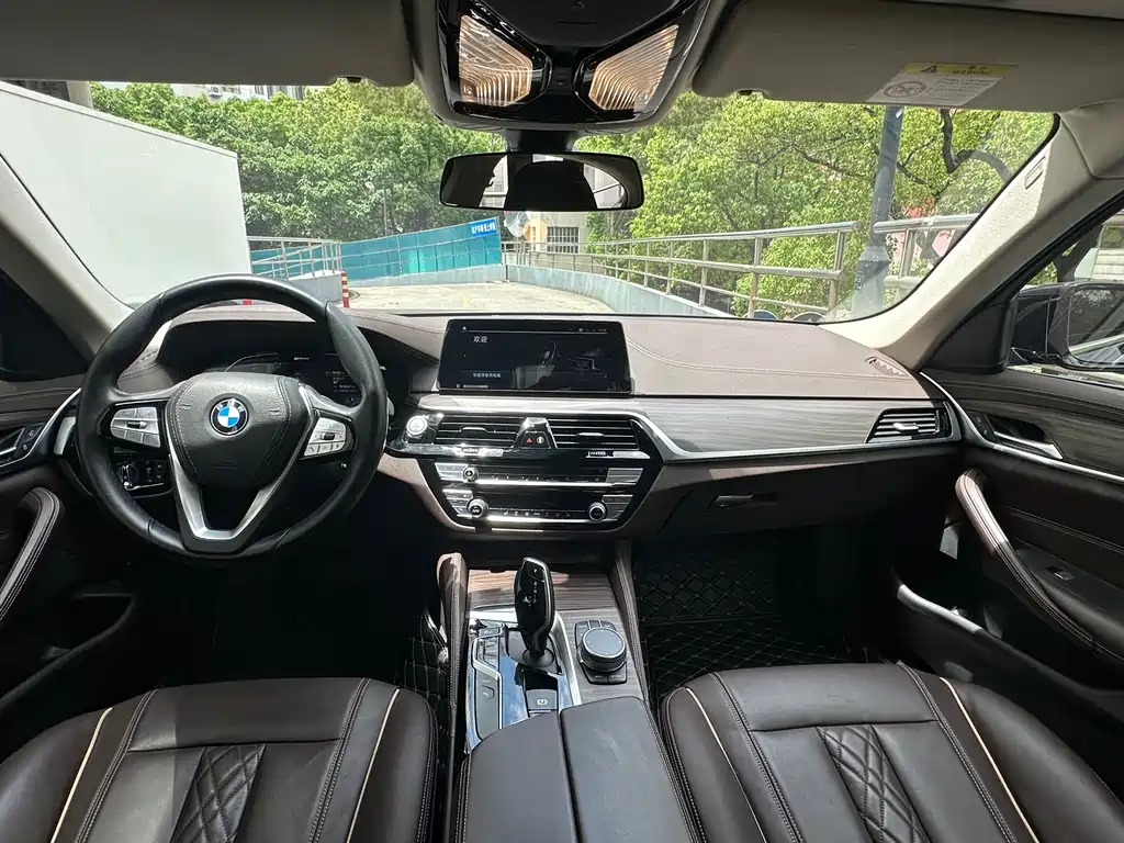 BMW 5 Series New Energy 2020 — фото 7