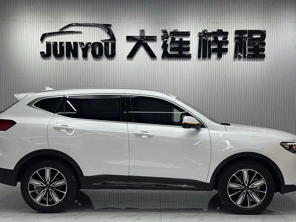 Haval H6 2023 — фото 10