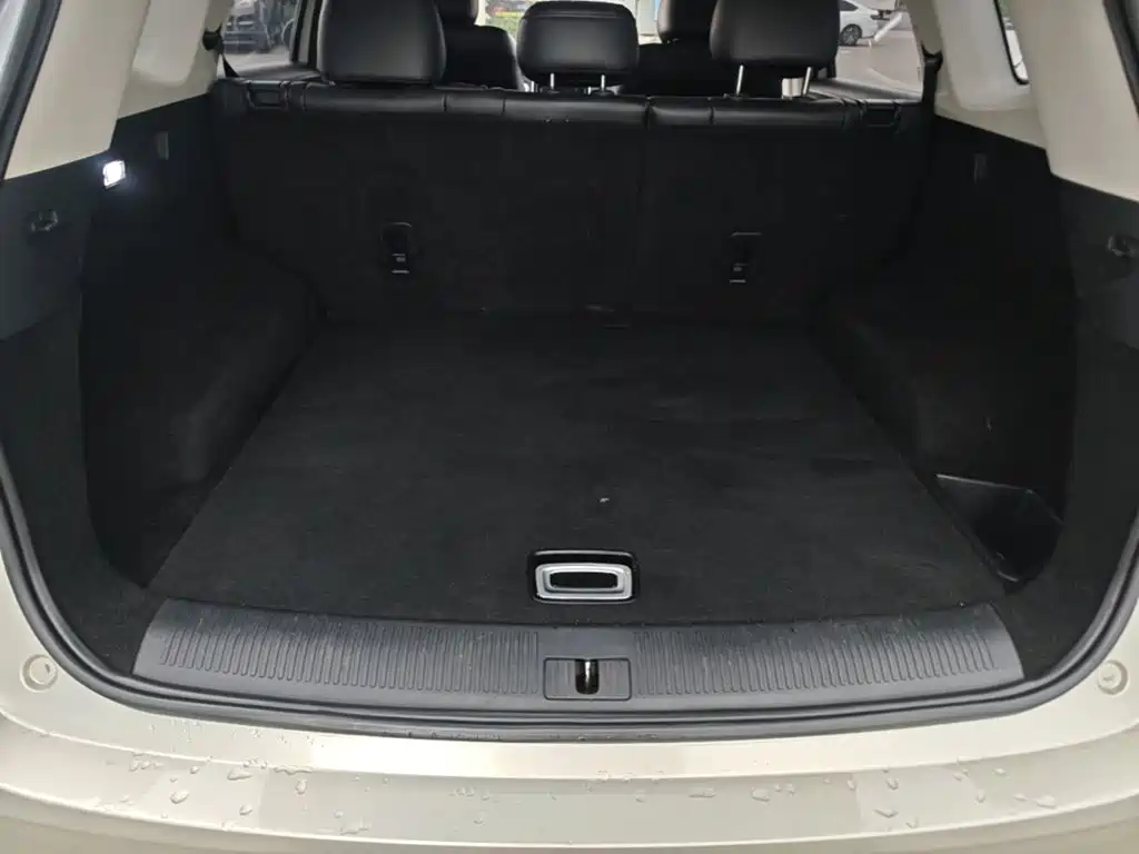 Roewe RX5 MAX 2020 — фото 19