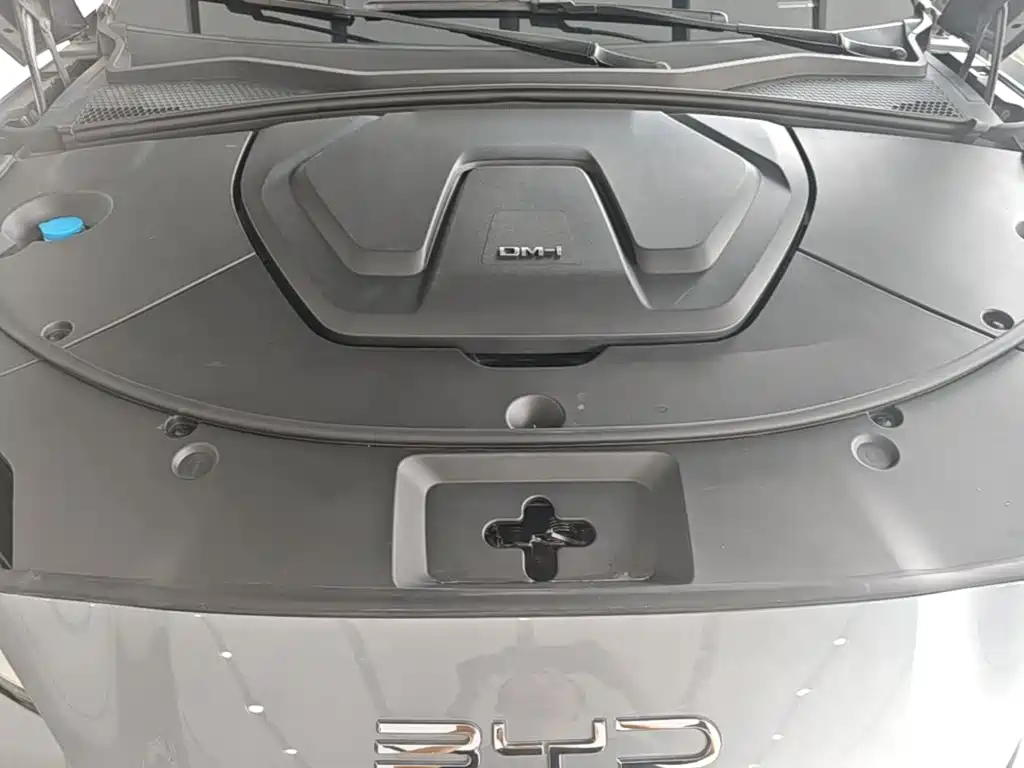 BYD PLUS New Energy 2023 — фото 20
