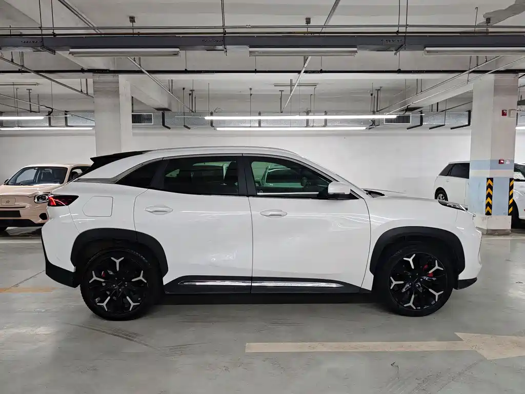 Chery New Energy Big Ant 2020 — фото 4