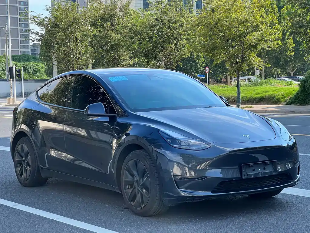 Tesla Model Y 2021 — фото 2