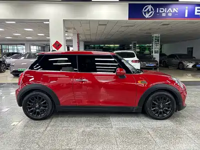 MINI MINI 2014