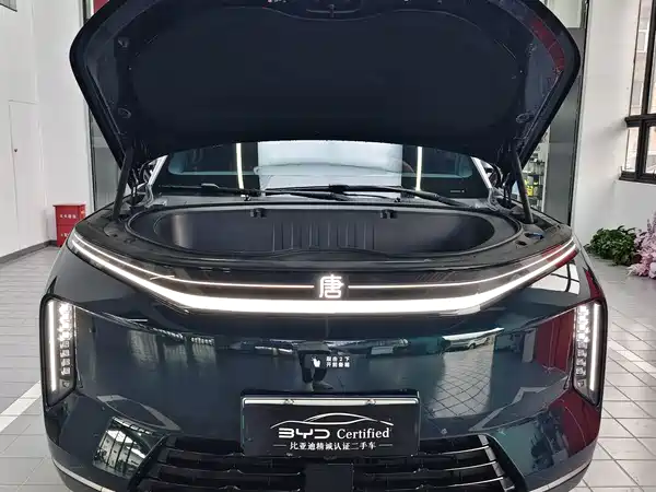 BYD Datang 2026