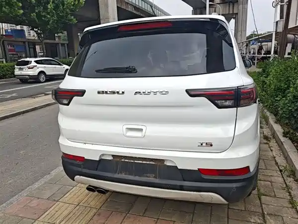 Bisu T5 2017