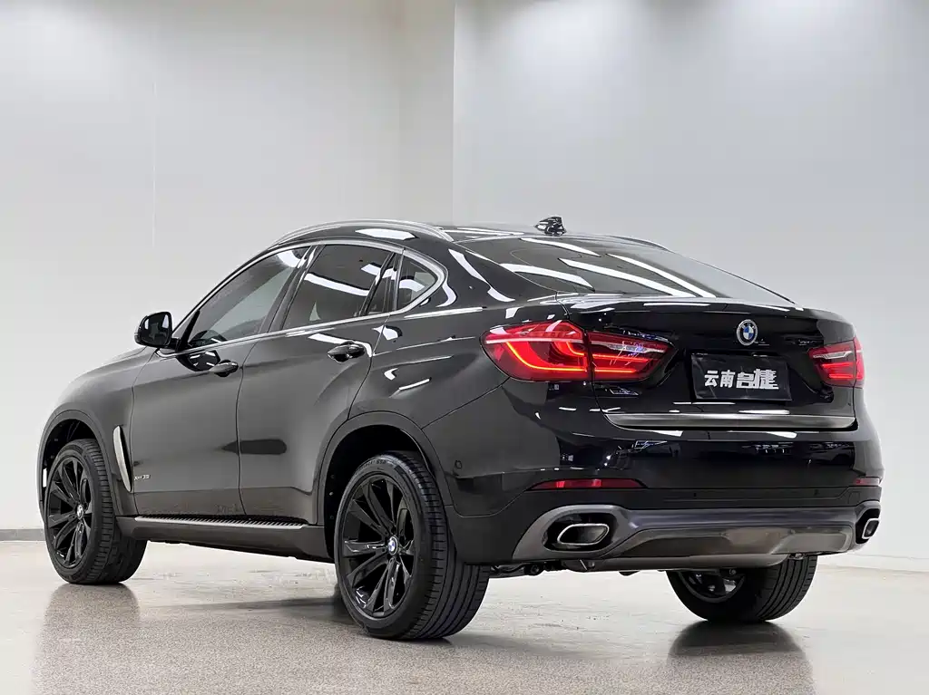 BMW X6 2019 — фото 5