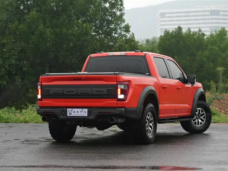 Ford F-150 Raptor 2024 — фото 7