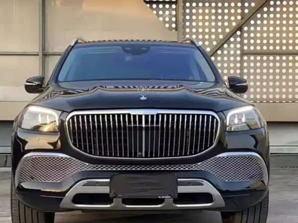 Mercedes-Benz Maybach GLS 2021