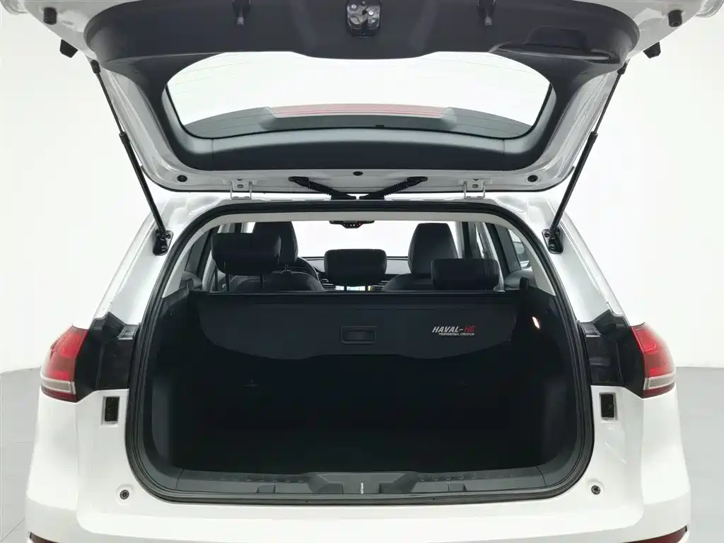 Haval H6 2020 — фото 16