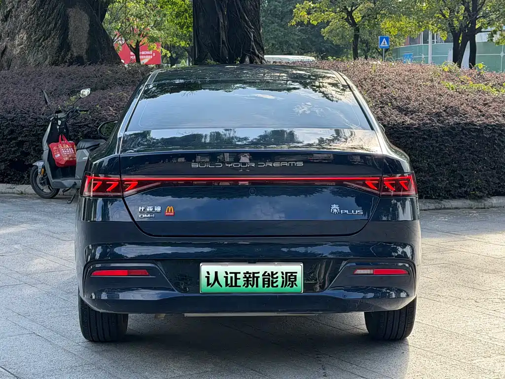 BYD Qin PLUS 2024 — фото 14