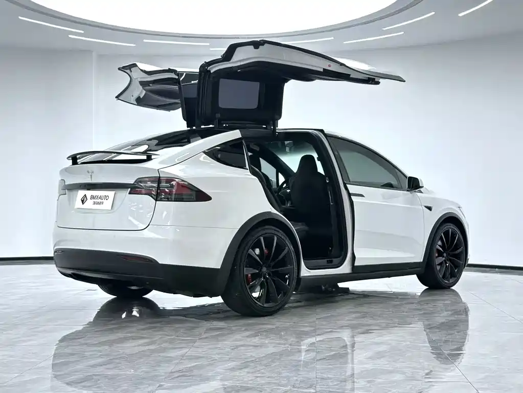 Tesla Model X 2017 — фото 4