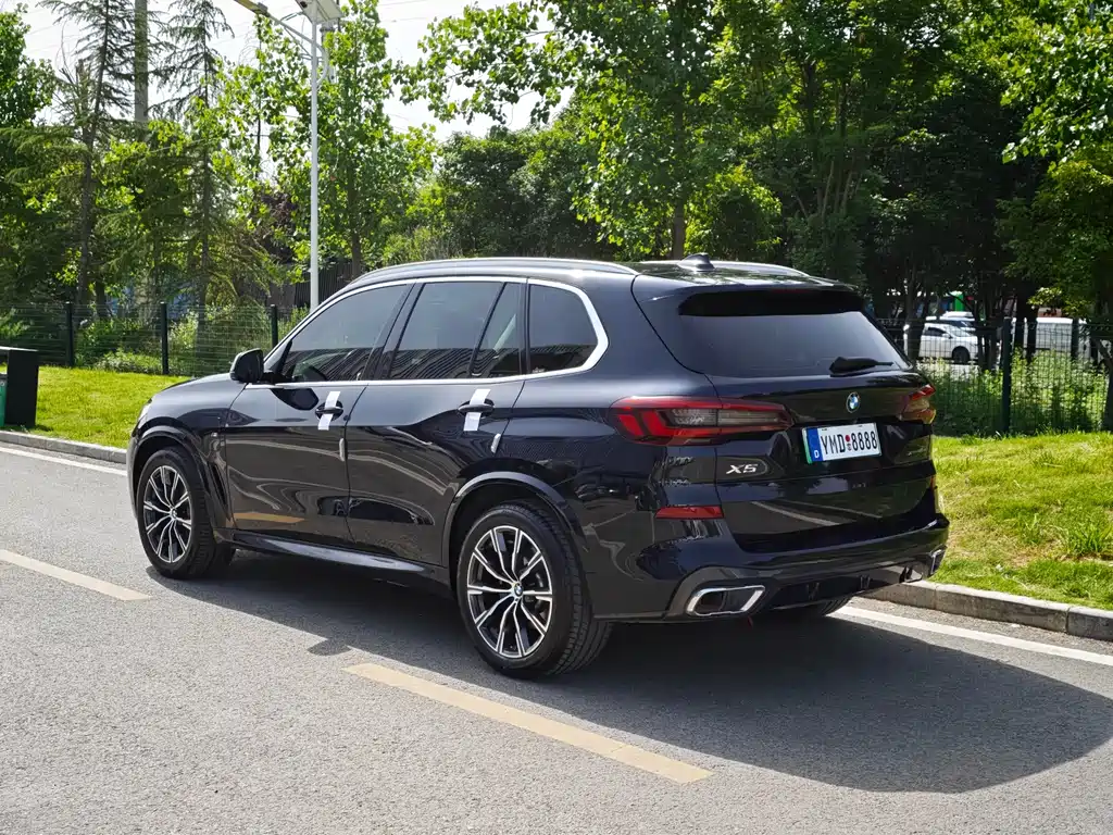 BMW X5 New Energy 2021 — фото 11