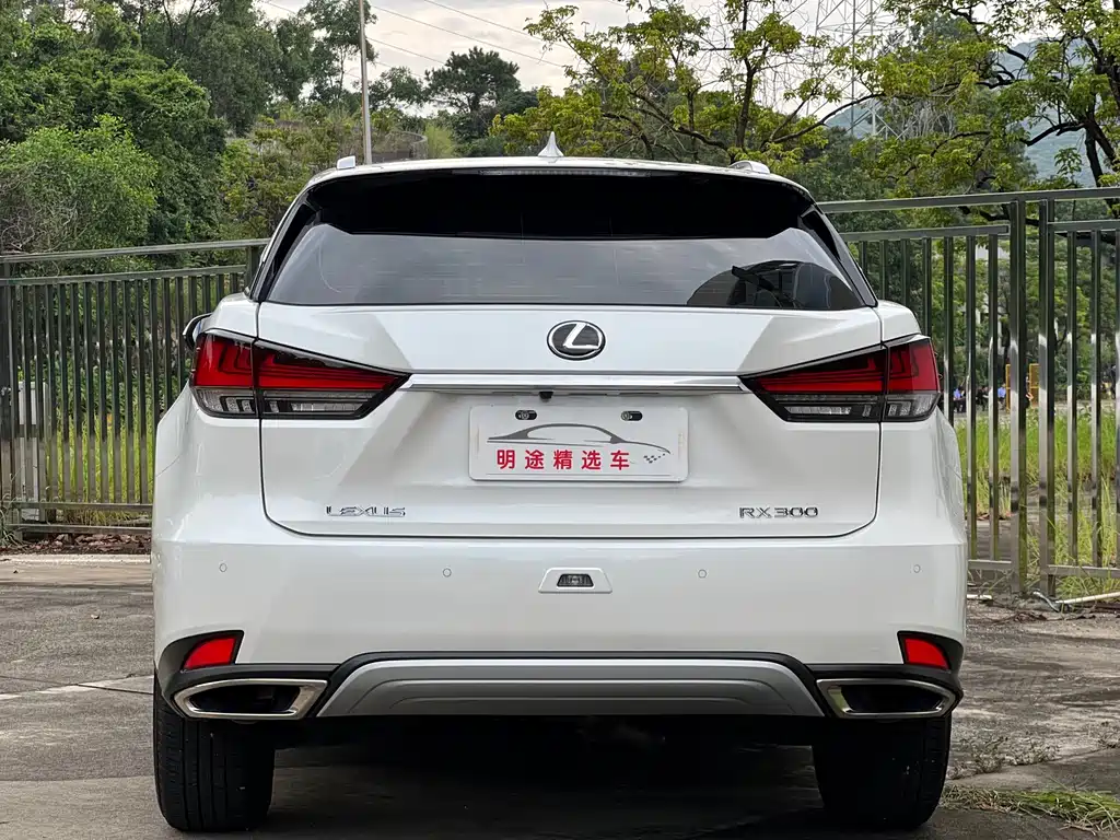 Lexus RX 2022 — фото 42