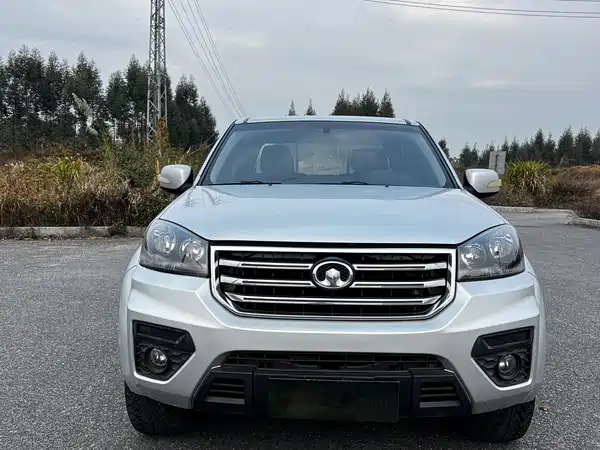 Great Wall Wingle 5 2020