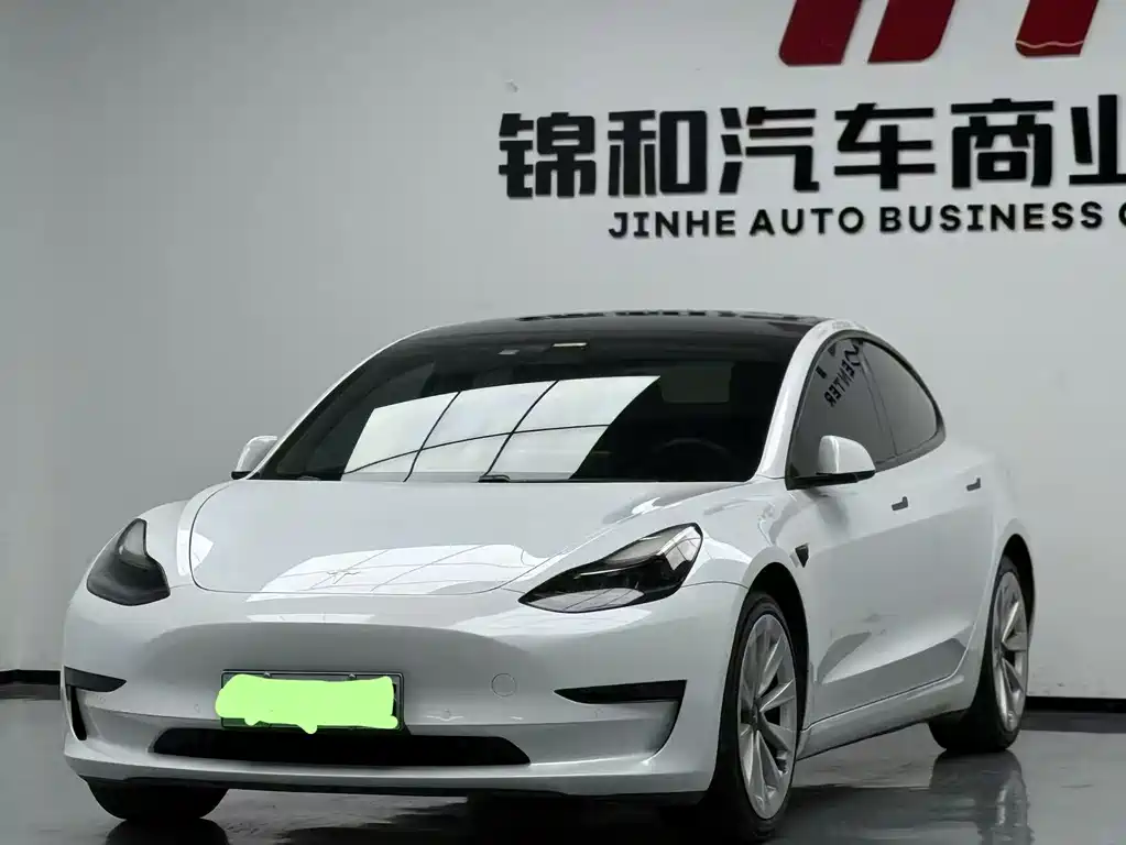 Tesla Model 3 2021 — фото 1