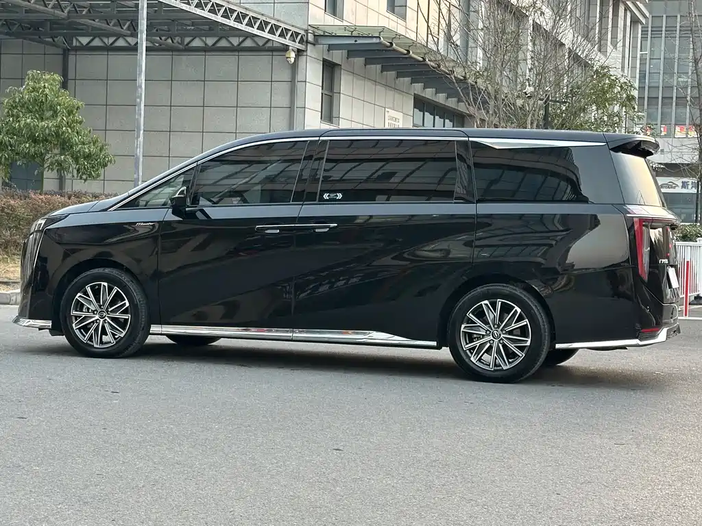 GAC Motor Trumpchi M8 2024 — фото 16