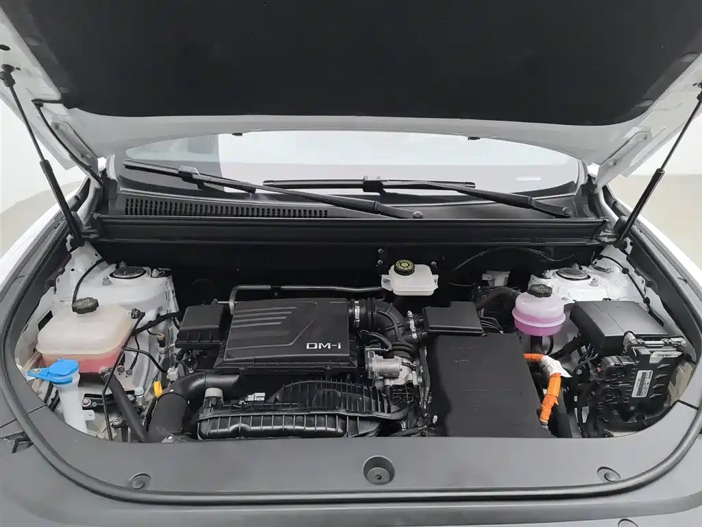 BYD Pro New Energy 2024 — фото 6