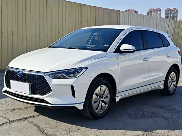 BYD e2 2021