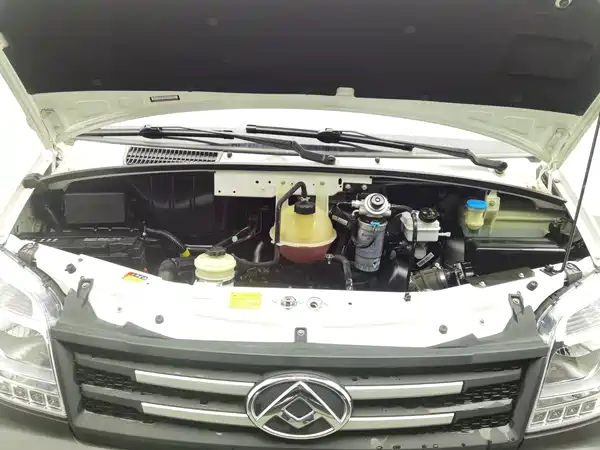 Maxus V80 2020