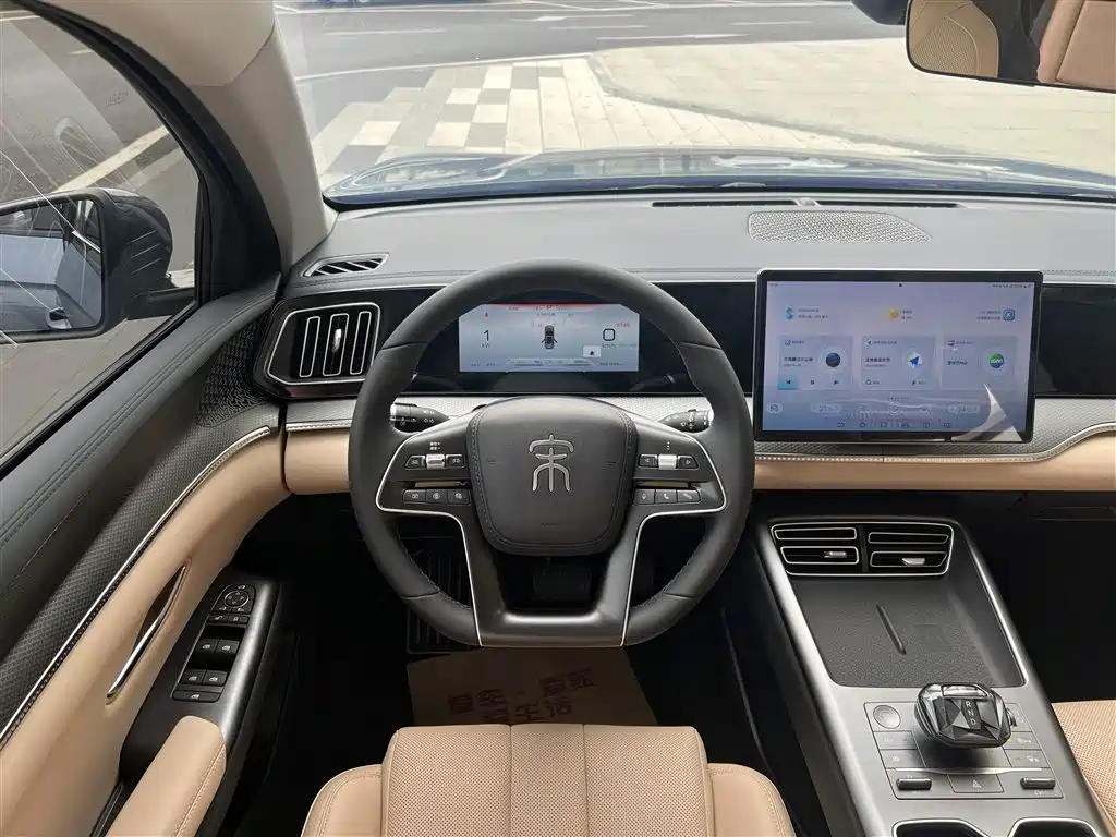 BYD Pro New Energy 2025 — фото 28