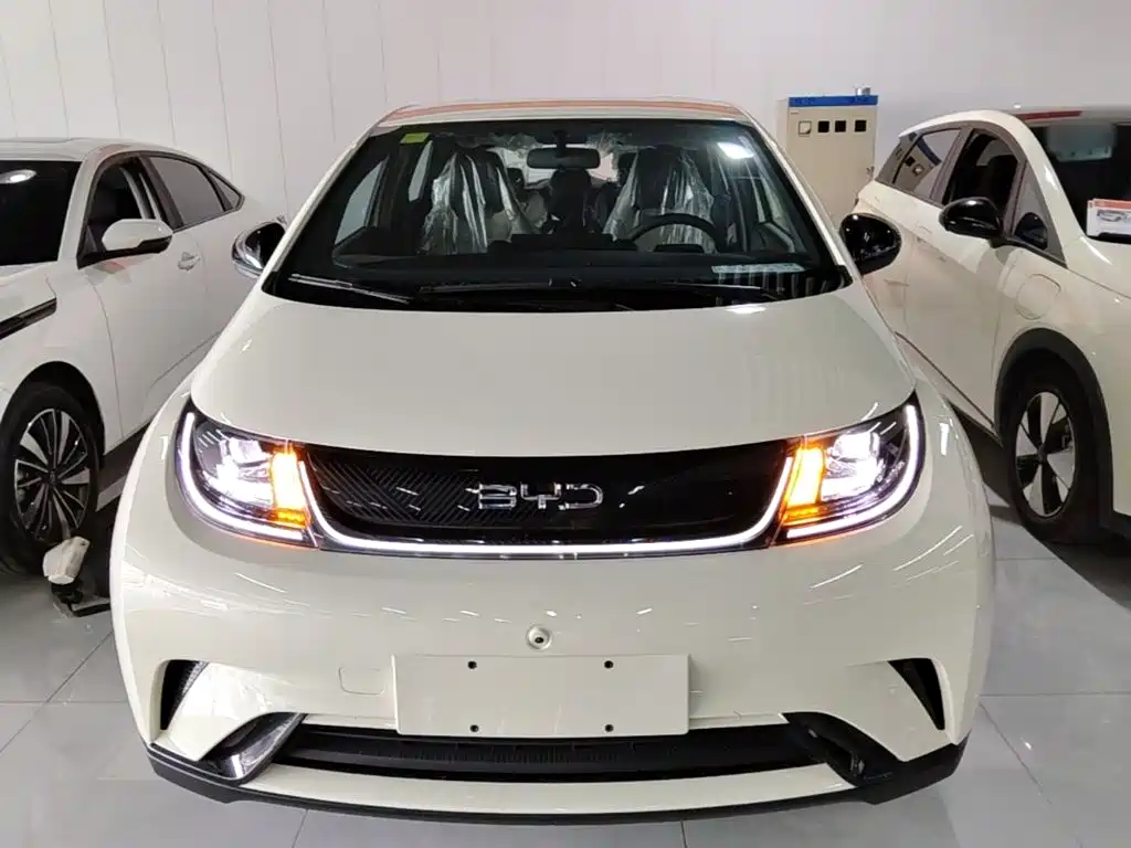 BYD Dolphin 2026
