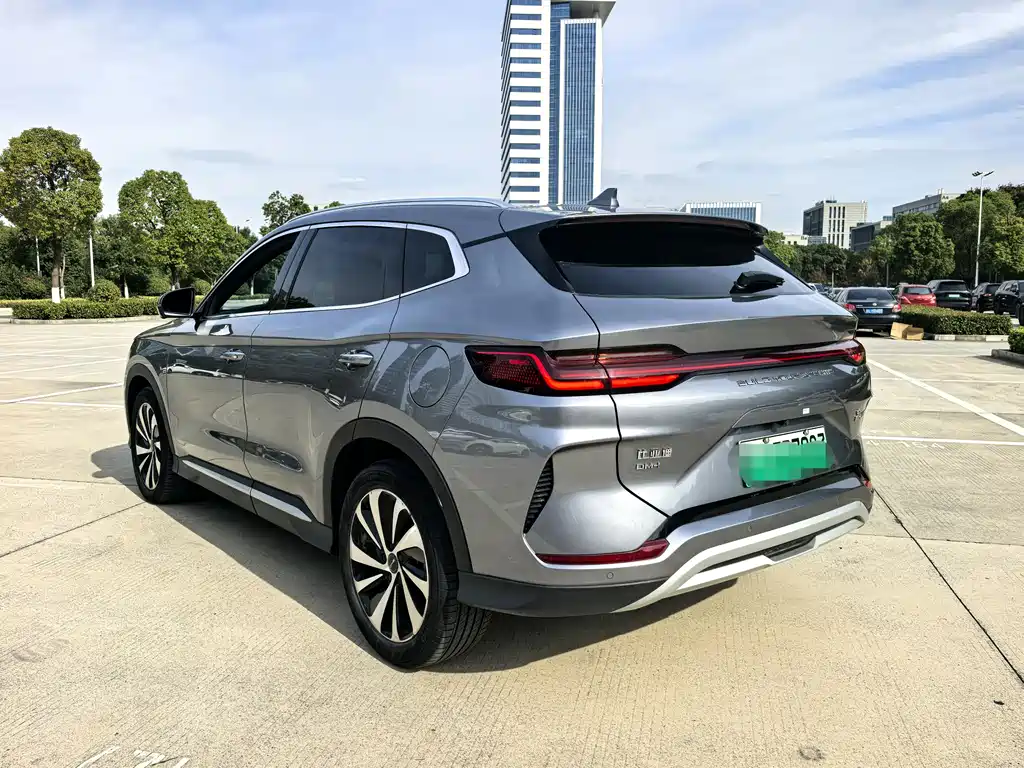BYD PLUS New Energy 2024 — фото 14