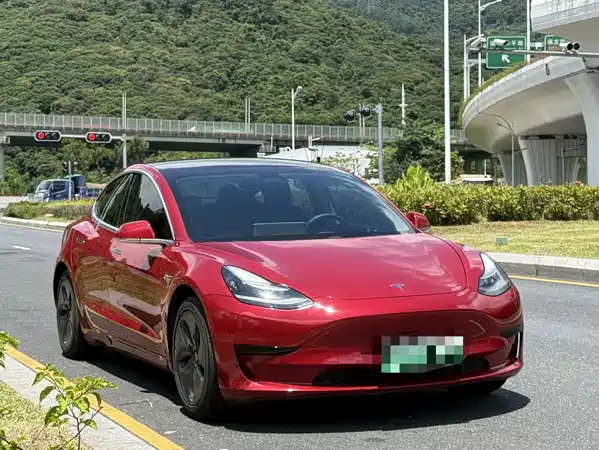 Tesla Model 3 2020