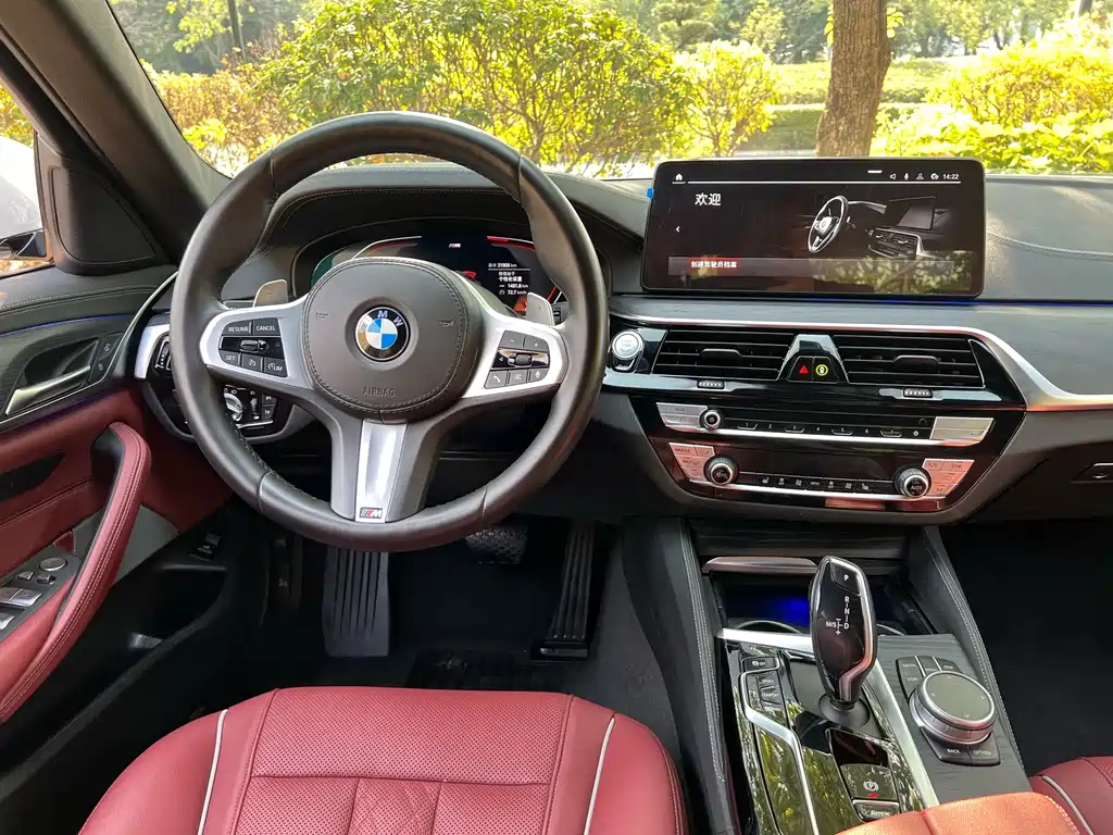 BMW 5 Series 2022