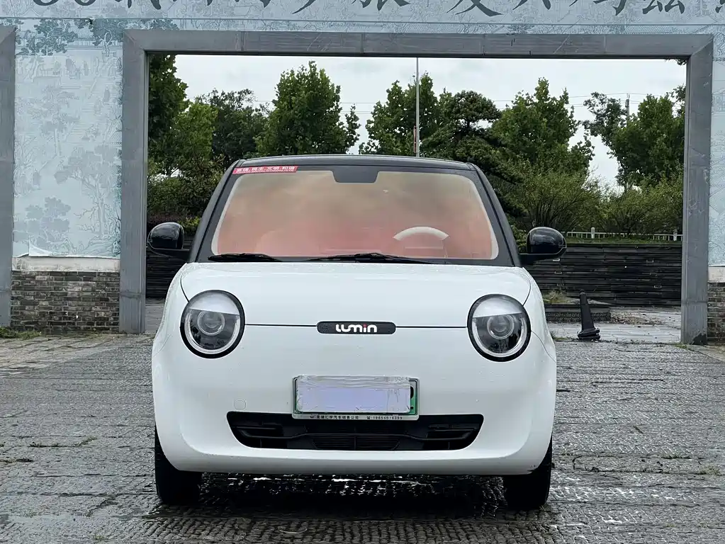 Qiyuan Lumin 2025