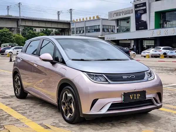 BYD Dolphin 2022