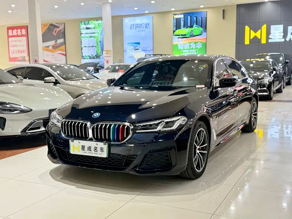 BMW 5 Series New Energy 2021 — фото 1