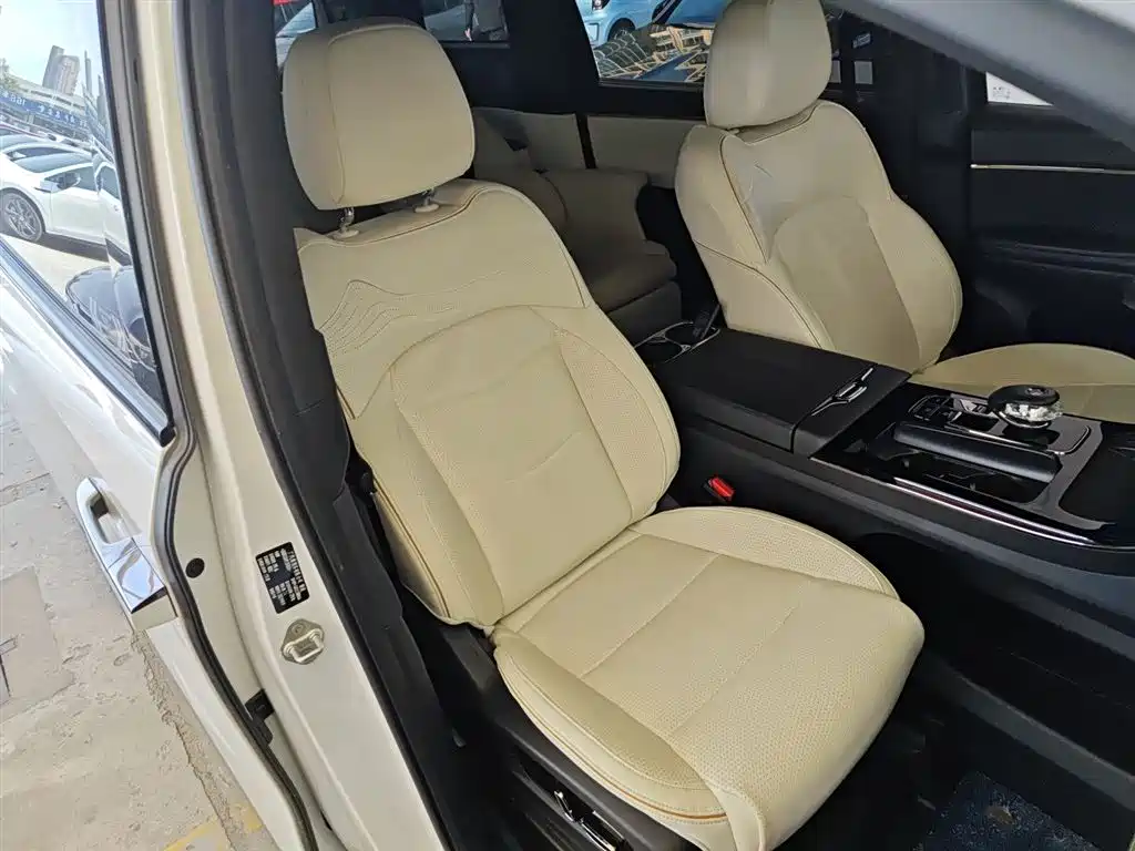 GAC Motor Trumpchi M8 2023 — фото 25