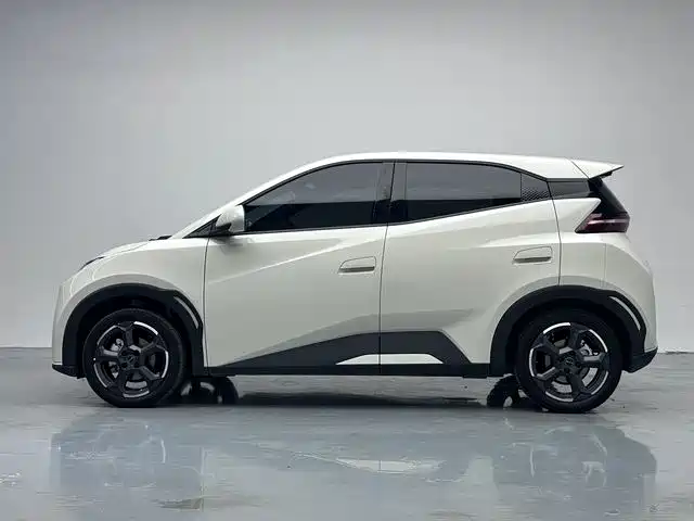BYD Seagull 2024