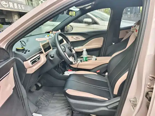 BYD Seagull 2024