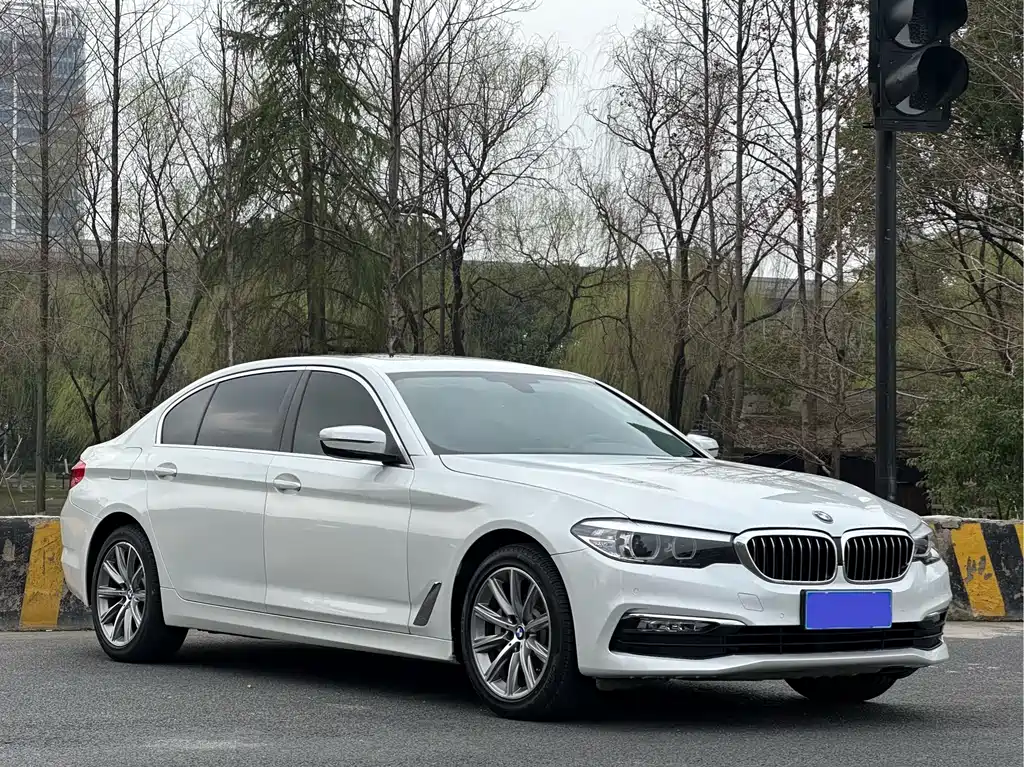 BMW 5 Series 2017 — фото 3
